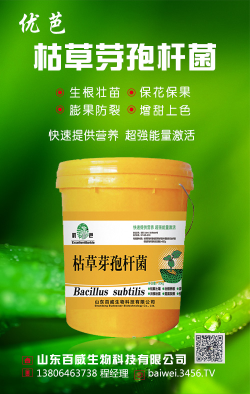 �ݲ�ѿ�ߗU��