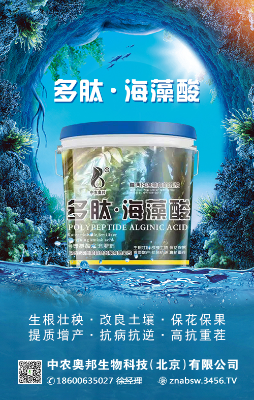 ���ġ�������