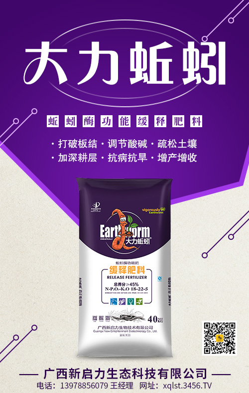 ���ø���ܾ�ጷ���