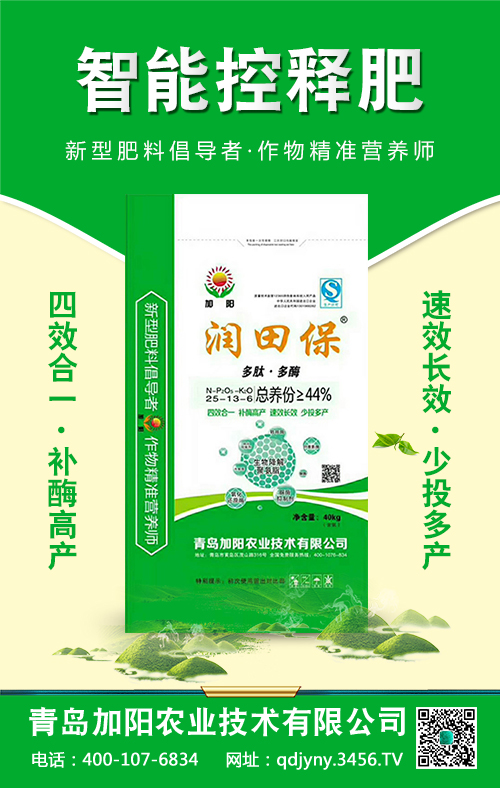 ���ܿ�ጷ�