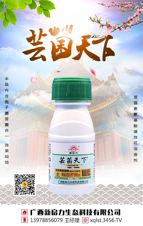 �|������