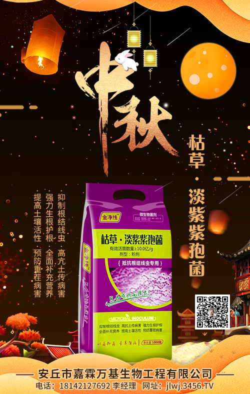 �ݲݡ��������߾�