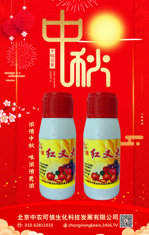 һ���t�ִ�