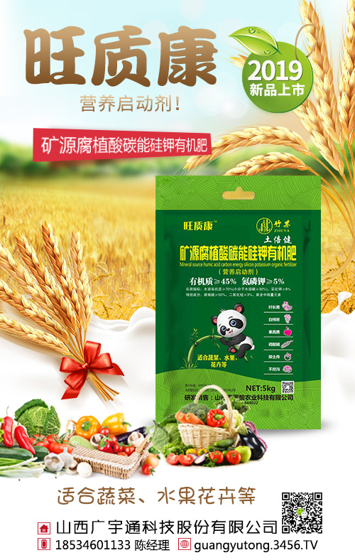 ���|(zh��)��