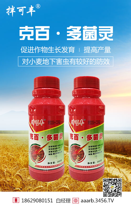 �˰١�����`