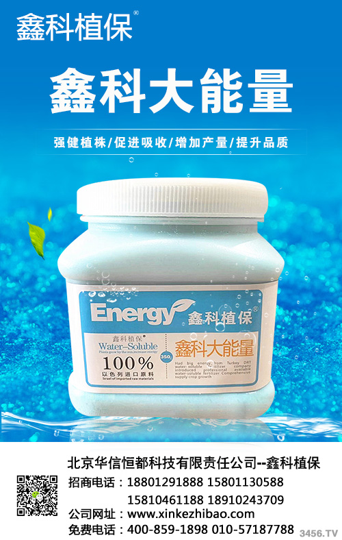 �οƴ�����