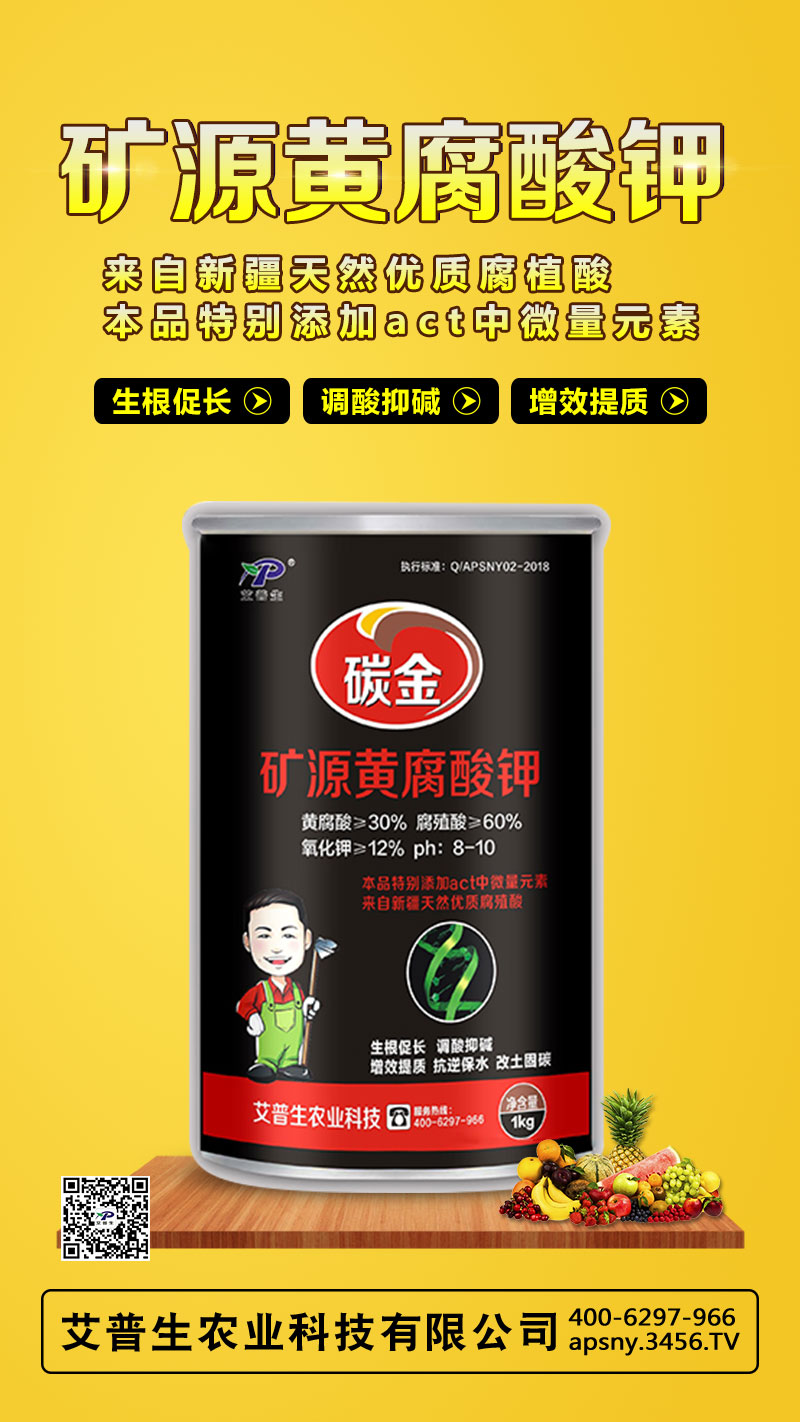 �VԴ�S�����