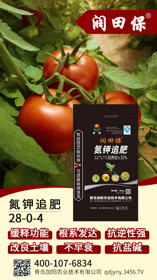 ���׷��28-0-4-���ﱣ-���