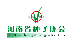 ����ʡ�N�Ӆf(xi��)��(hu��)