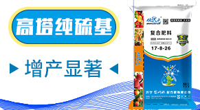 ɽ�|������W(w��ng)(li��n)�䷽�����޹�˾