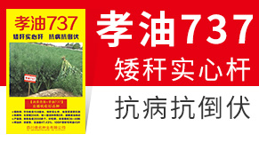 �Ĵ������N�I(y��)���޹�˾