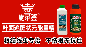 ����ʩ�R�����＼�g(sh��)���޹�˾