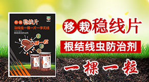 ���_(d��)����Ƽ����޹�˾