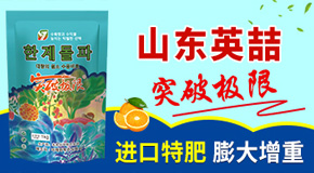 ɽ�|Ӣ���M�������޹�˾