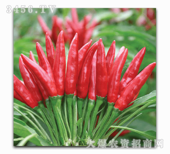 ϲ���S-�A��9̖F1