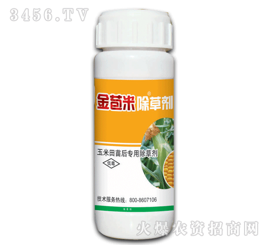 ����׳��݄�