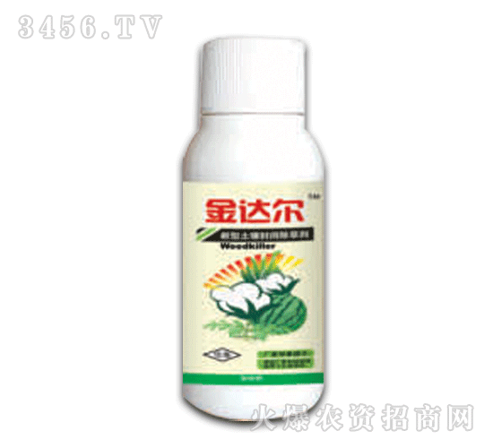 ���_�������ײݰ�����