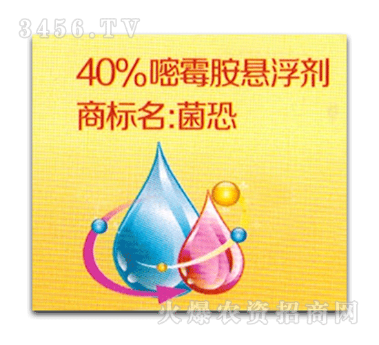 ���h-����-40%��ù���Ҹ���