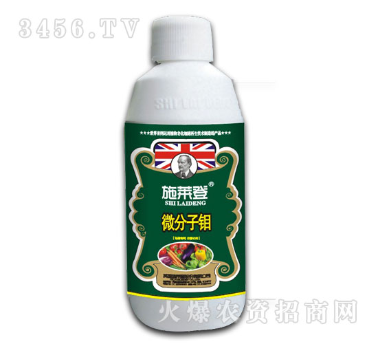 ΢�����f��-ʩ�R��