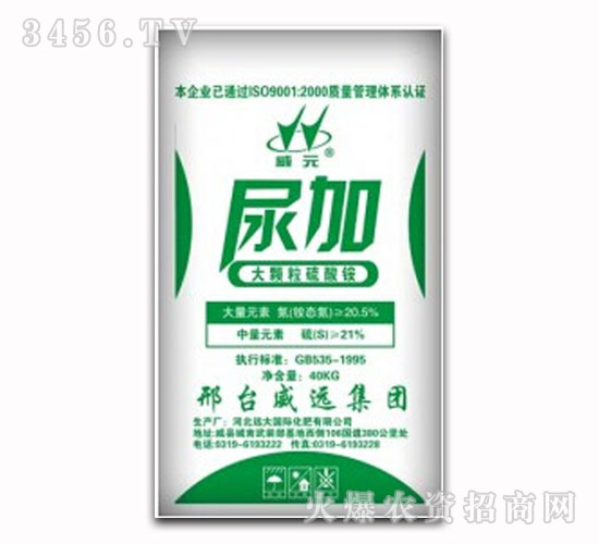 ��Ӵ��w�������@