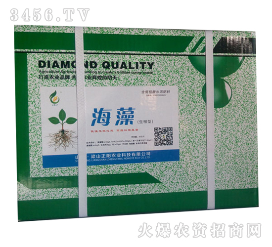 �����ͺ���-����r(n��ng)�I(y��)