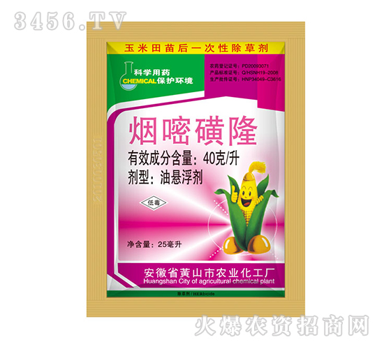 40��/�����׻�¡-�{���r�I(y��)