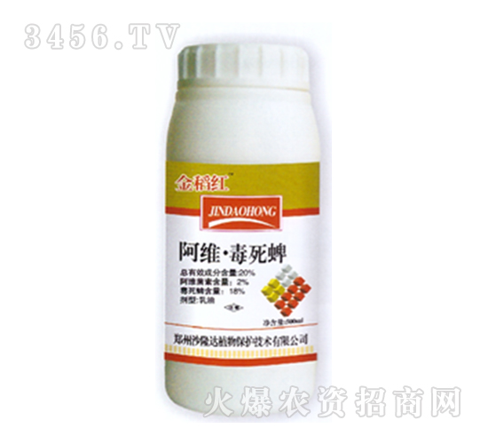 ���S������-�𵾼t