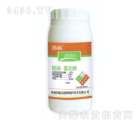 ���׶�����-�Ű�