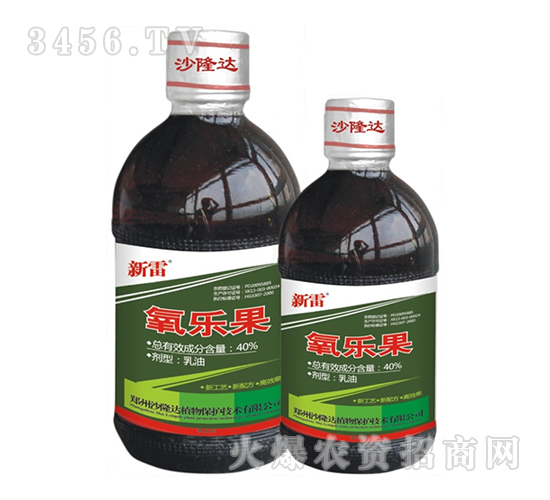 40%����������-����