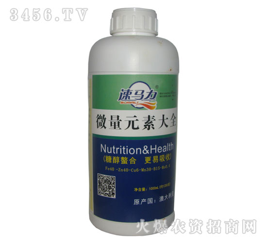 1L�b΢��Ԫ�ش�ȫ