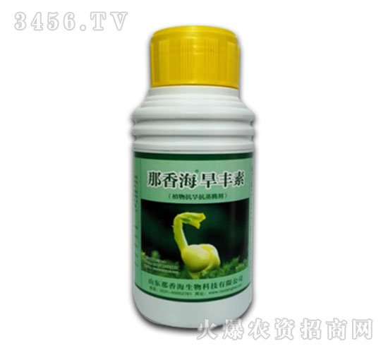 ���㺣���S��-���㺣