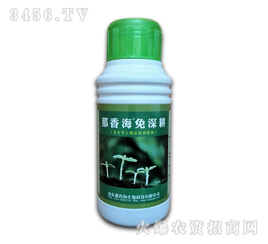 ���㺣�����-���㺣