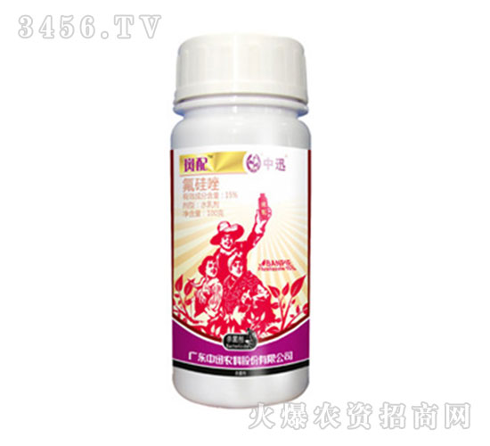 15%�����򚢾���-����-��Ѹ