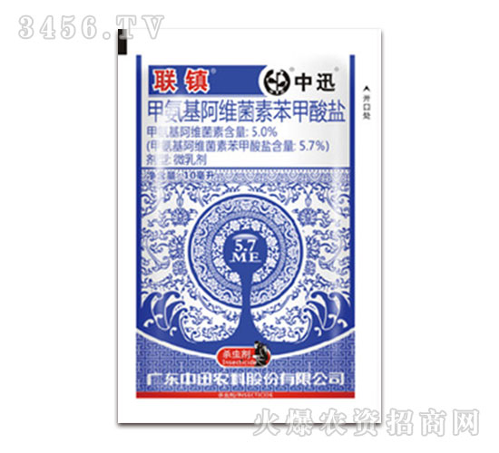 10�����װ������S���ر������}-(li��n)�(zh��n)-��Ѹ