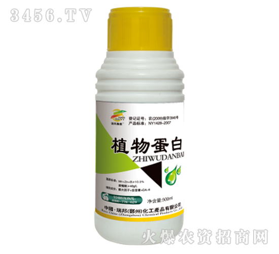 ֲ�ﵰ�ף��{(di��o)��(ji��)����-�������