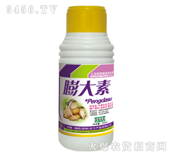 ������˸��o��������-�������