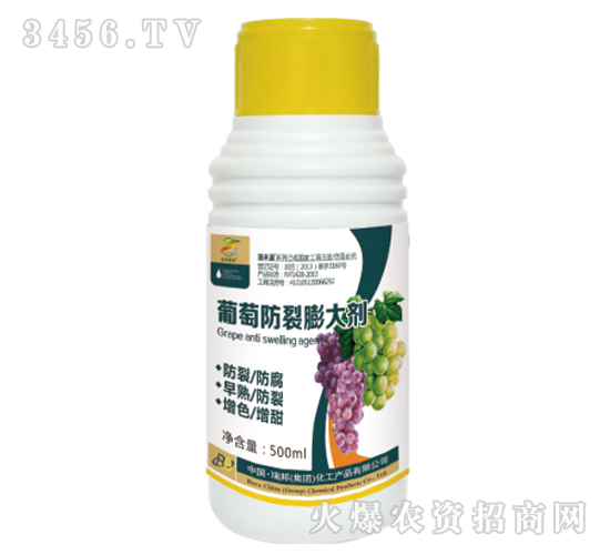 ���ѷ������-�������