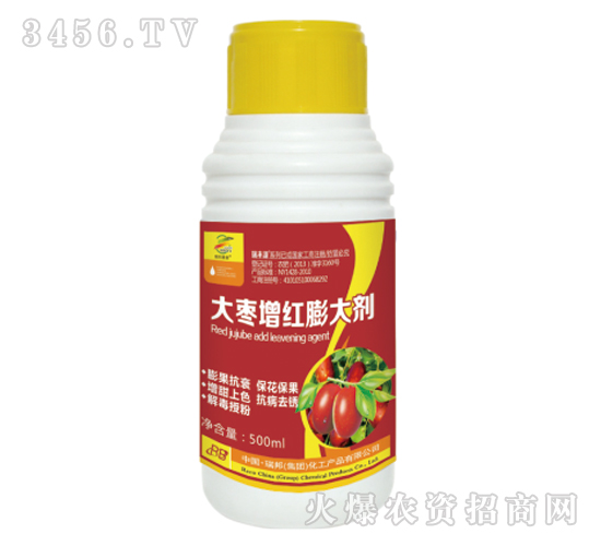 �����t���-�������