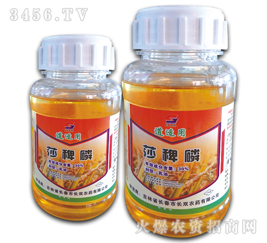 30%ɯ��������-���m��-�L�p