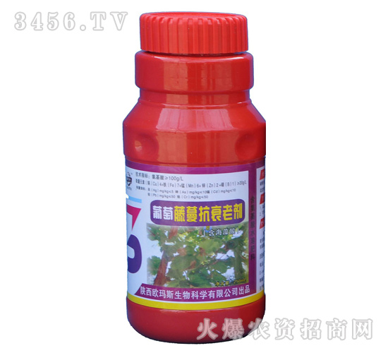 ����������˥�τ����{��(ji��)����-�W��˹