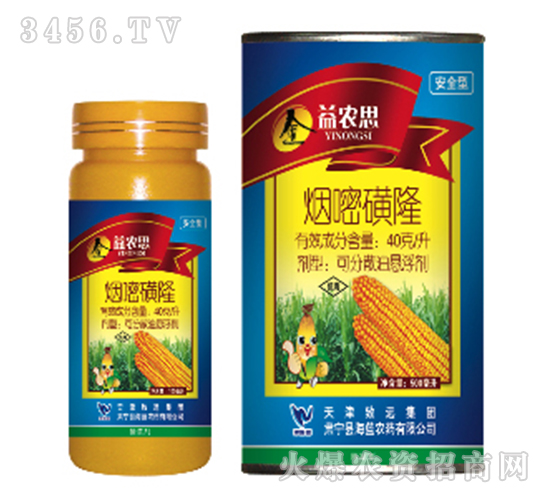 40��/�����׻�¡-���r(n��ng)˼-���{�r(n��ng)ˎ