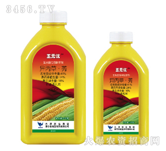 41%�����ݡ�ݬ-��o�n-���{�r(n��ng)ˎ