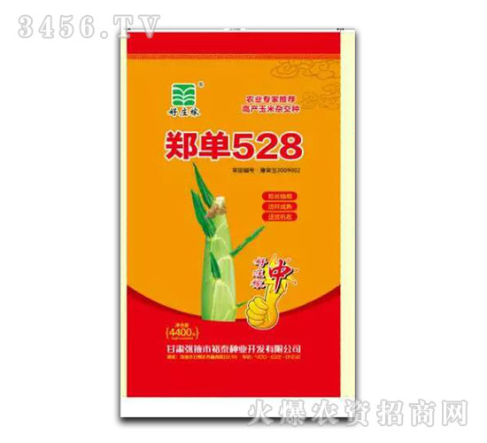 ����528�����s���N-���f��