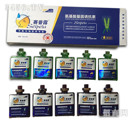 С�������~���-����������T����-ِ��¶-�����r(n��ng)ˎ