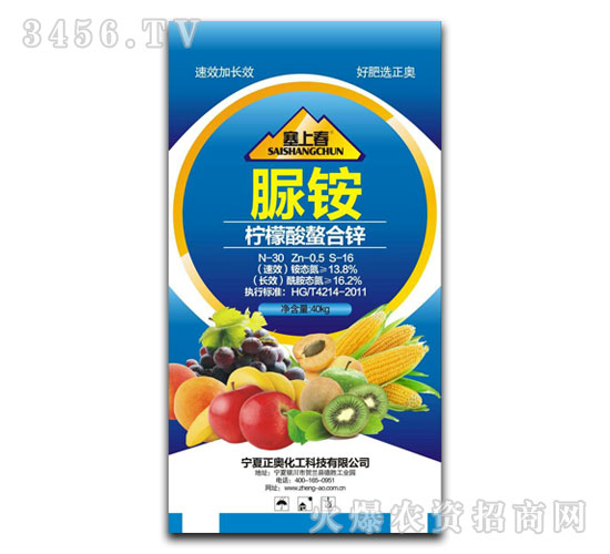 �����������\-���ϴ�-���W����