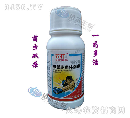 ����x���Ͷ���w����-�p��-�Z������