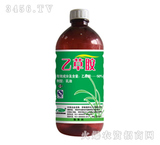 50%�Ҳݰ�-�G��