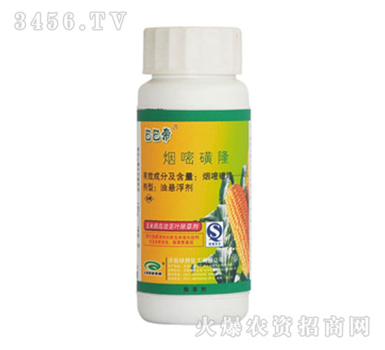 ���׻�¡-�Ͱ͵�-�G��