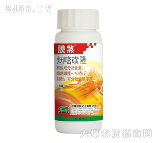 ���׻�¡-Ĥɷ-�G��