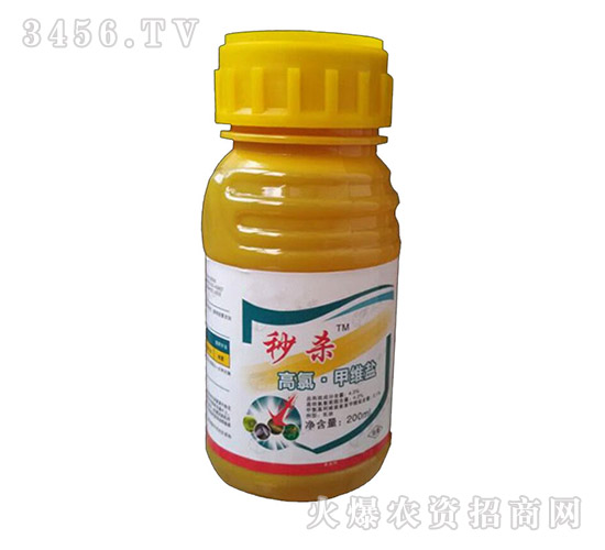 ���ȼ׾S�}-�뚢-�Z������